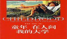 童年的主要内容概述