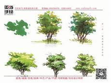色彩树的画法步骤图