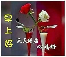 最暖心的早上好问候图片